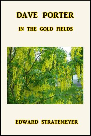 Cover of the book Dave Porter in the Gold Fields by Patrick MacGill