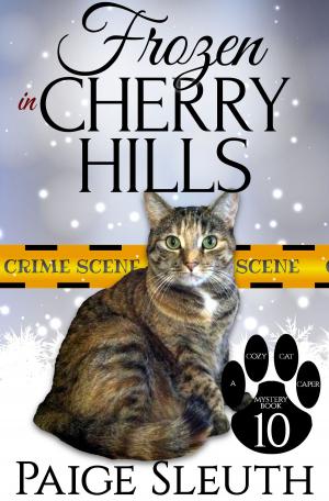 Cover of the book Frozen in Cherry Hills by Marla Bradeen, Paige Sleuth