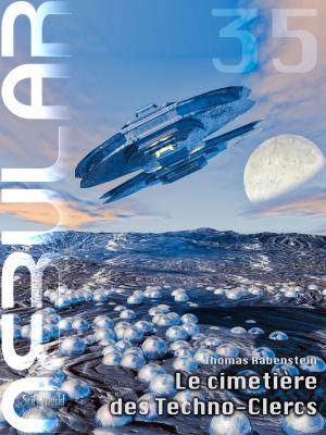 Cover of the book NEBULAR 35 - Le cimetière des Techno-Clercs by Jason P. Stadtlander, Linda Sickinger, Julia Koller
