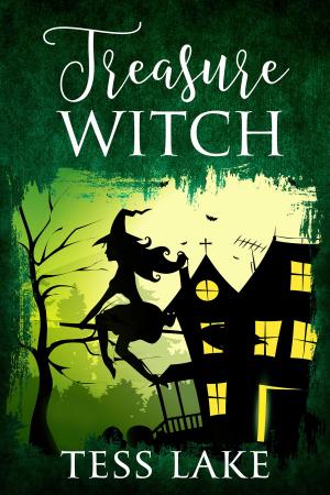 Cover of the book Treasure Witch by Annette Mahon
