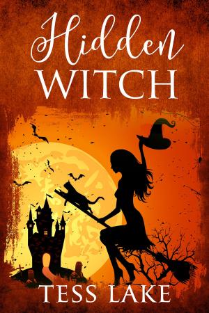 Book cover of Hidden Witch