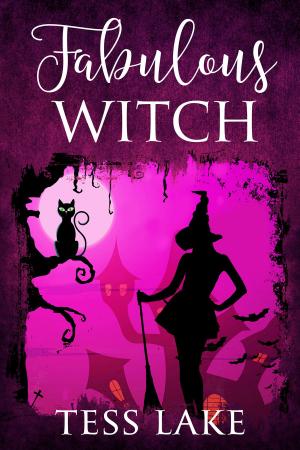 bigCover of the book Fabulous Witch by 
