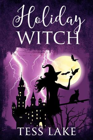 Book cover of Holiday Witch