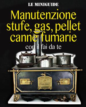 Book cover of Manutenzione stufe, gas, pellet, canne fumarie