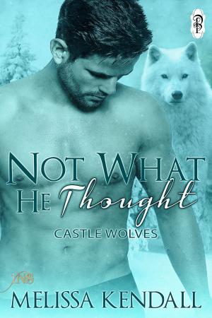 Cover of the book Not What He Thought (1Night Stand) by Merryn Dexter