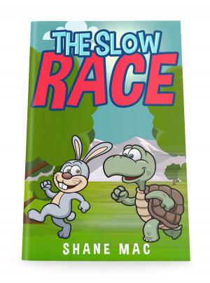 Cover of the book The Slow Race by Debbie Lacy