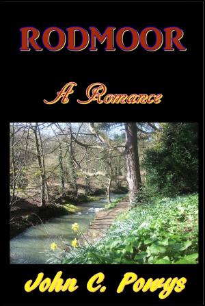 Book cover of Rodmoor