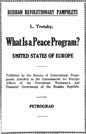Book cover of What is a peace program?
