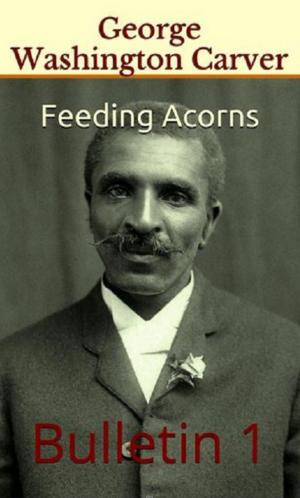 Book cover of Feeding Acorns