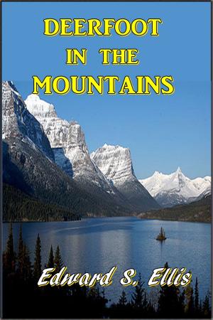Book cover of Deerfoot in the Mountains