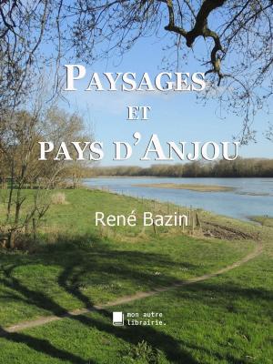 Cover of the book Paysages et pays d'Anjou by Émile de Wogan