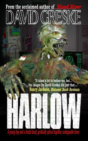 Cover of the book Harlow by Reyna Young