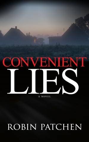 Book cover of Convenient Lies