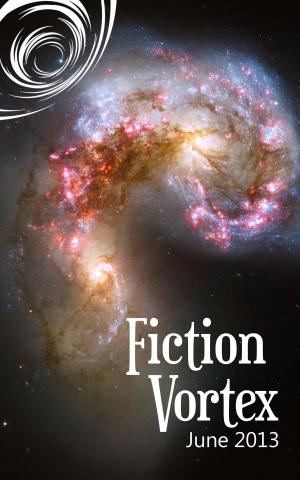 Cover of the book Fiction Vortex by Margit Sandemo