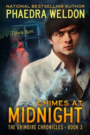 Cover of the book Chimes At Midnight by Penelope Fletcher