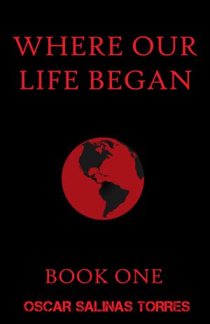 bigCover of the book Where Our Life Began by 
