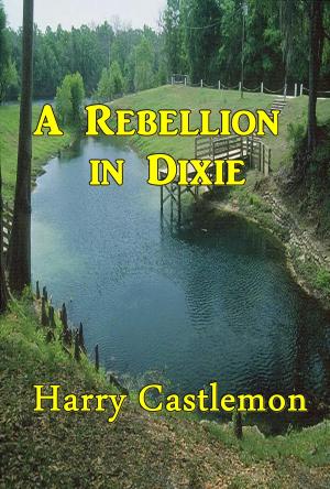 Cover of the book A Rebellion in Dixie by Laura Jean Libbey