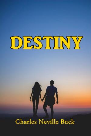 Cover of the book Destiny by Armando Palacio Valdes