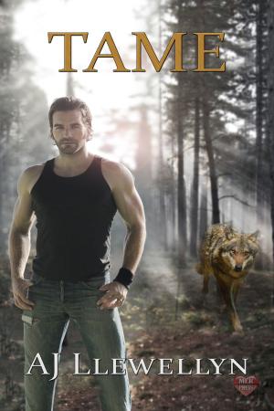 Cover of the book Tame by Alex Ironrod