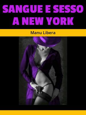 Cover of Sangue e sesso a New York