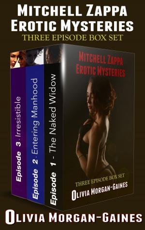 Book cover of Mitchell Zappa Mysteries Box Set