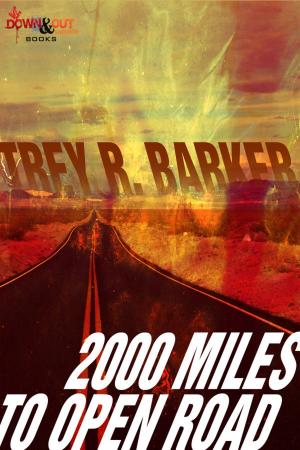 Cover of the book 2000 Miles to Open Road by Rachel Howzell Hall, Sheila Lowe, Laurie Stevens, Cara Black