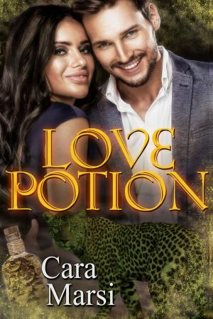Cover of the book Love Potion by Kelsey Jordan