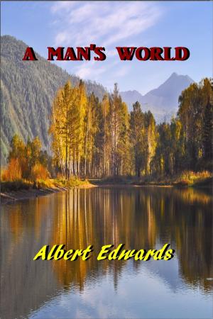 Cover of the book A Man's World by Jeffery Farnol