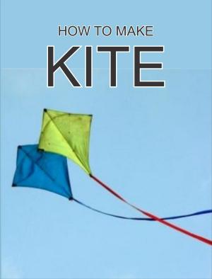 Book cover of KITE