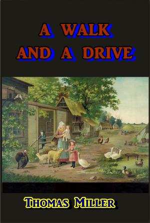 Cover of the book A Walk and a Drive by G. Harvey Ralphson