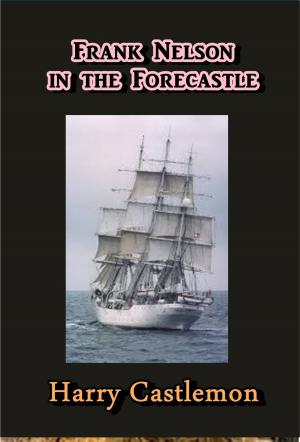 Book cover of Frank Nelson in the Forecastle