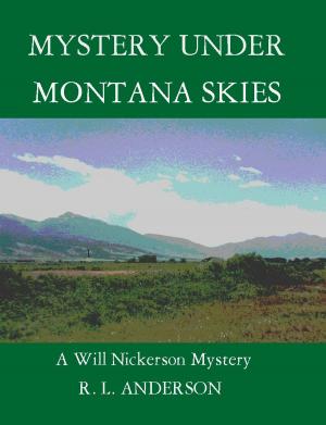 Book cover of Mystery Under Montana Skies