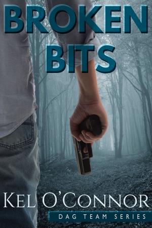 Cover of the book Broken Bits by Jarrett Rush