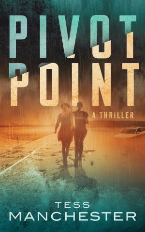 Cover of the book Pivot Point by Calle J. Brookes