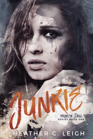Cover of the book Junkie by Carey Azzara