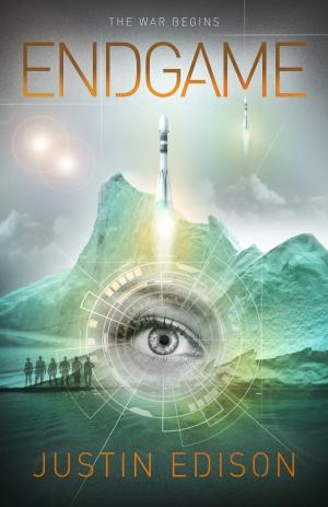 Cover of the book Endgame by Katherine Padilla
