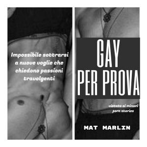 Cover of the book Gay per prova (porn stories) by Sasha Cream
