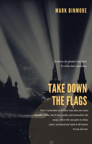 Book cover of Take Down The Flags