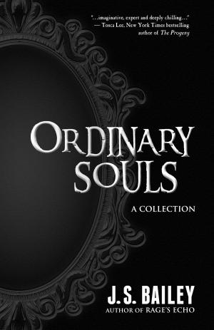 Book cover of Ordinary Souls