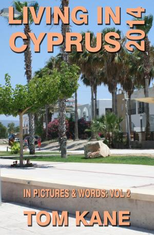 Book cover of Living in Cyprus: 2014
