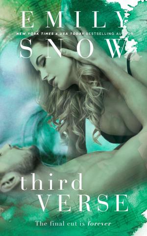 Cover of the book Third Verse by Theresa Paolo