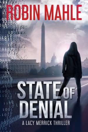 Cover of the book State of Denial by A. J. Davidson