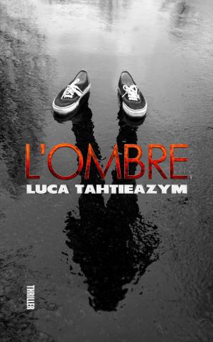 Cover of the book L'ombre by Sallie Lundy-Frommer