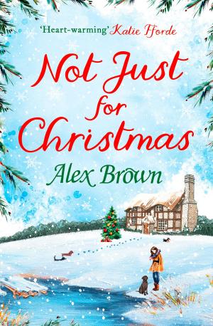 Cover of the book Not Just for Christmas by Raven McAllan