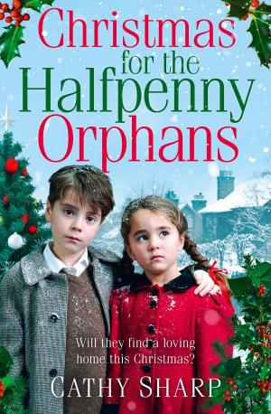 Cover of the book Christmas for the Halfpenny Orphans (Halfpenny Orphans, Book 3) by Medora Sale
