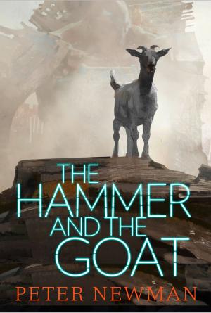 Book cover of The Hammer and the Goat