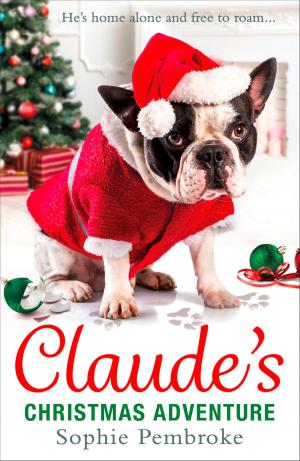 Cover of the book Claude’s Christmas Adventure by Carys Jones