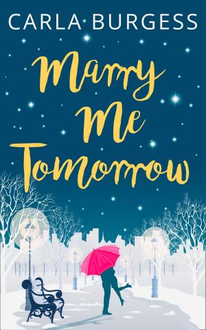 Cover of the book Marry Me Tomorrow by Joseph Polansky