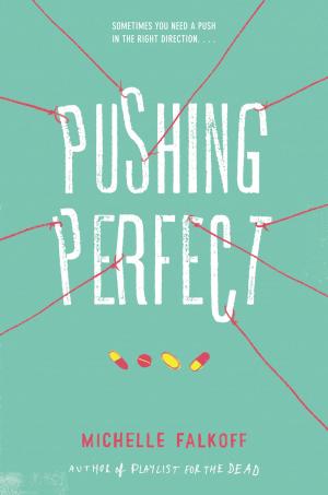 bigCover of the book Pushing Perfect by 
