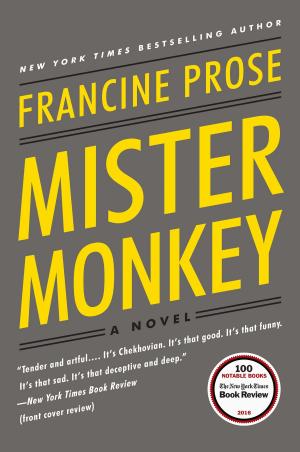 Cover of the book Mister Monkey by John Thompson